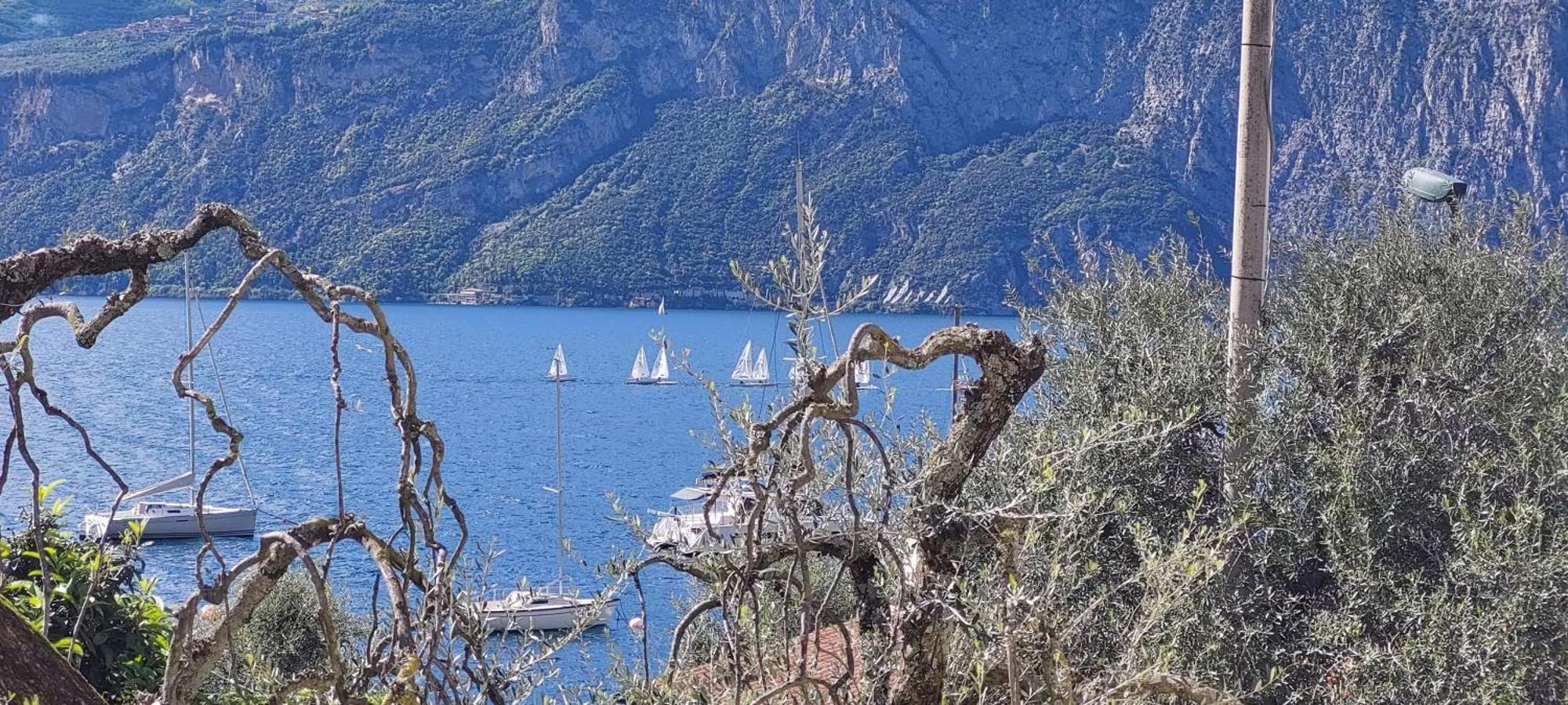 Marigarda Apartments Assenza di Brenzone Kültér fotó