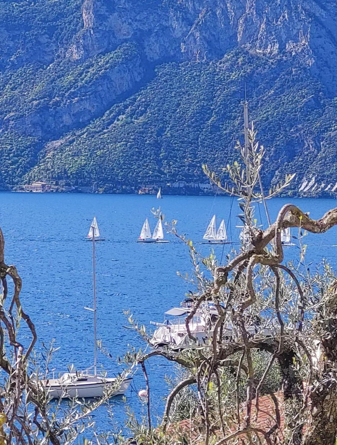 Marigarda Apartments Assenza di Brenzone Kültér fotó